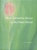 About Formative Forces in the Plant World About Formative Forces in the Plant World