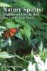 Nature Spirits: Endangered Like the Bees