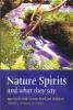 Nature Spirits and What They Say: Interviews with Verena Stael von Holstein, edited by Wolfgang Weirauch 