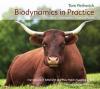 Biodynamics in Practice: Life on a Community Owned Farm - Impressions of Tablehurst and Plowhatch, by Tom Petherick