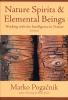 Nature Spirits and Elemental Beings: Working with the Intelligence in Nature, by Marko Pogacnik - NEW 2nd ED. IN STOCK