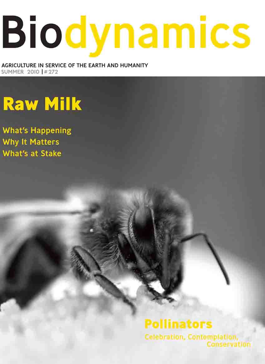 Summer 2010 Cover