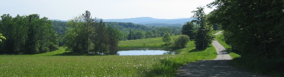 pond