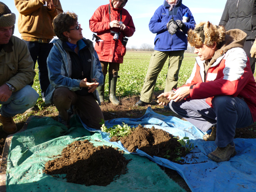 Biodynamic and conventional soil