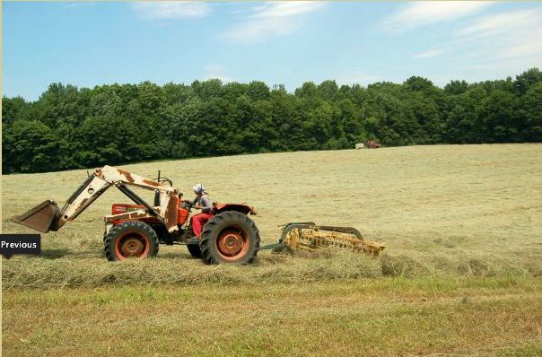 Brookford Farm