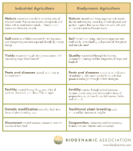 an introduction to the differences between the traditional and modern organization Difference between traditional and modern medicine the most important difference between the modern and the traditional medicine is the way they observe both the health and the diseases introduction to herbalism. an introduction to the differences between the traditional and modern organization Difference between traditional and modern medicine the most important difference between the modern and the traditional medicine is the way they observe both the health and the diseases introduction to herbalism.