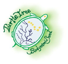 Turtle Tree Seeds logo