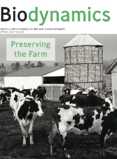 Spring 2009 Cover