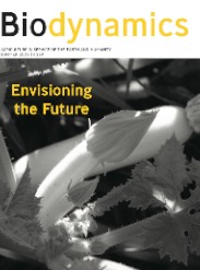 Summer 2009 Cover