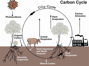 the-story-of-carbon