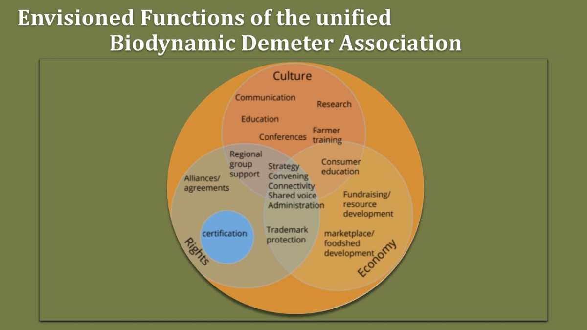 Cocreating a New, Inclusive, and Cohesive Biodynamic Organization ...
