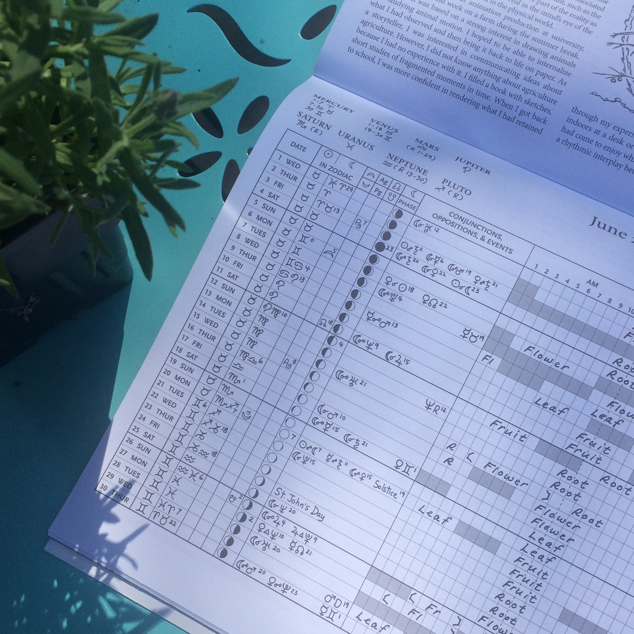 Biodynamic Planting Calendar 2024 Free Printable 2024 Calendar With