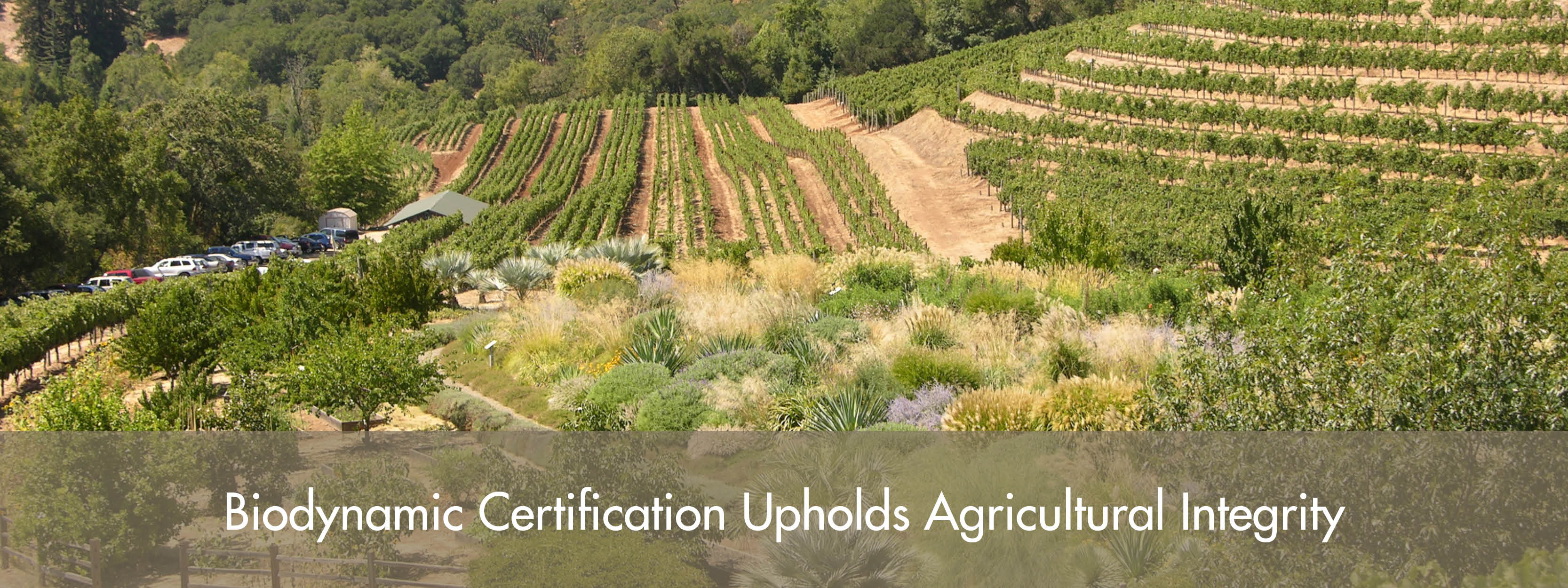 What Is Biodynamics Biodynamic Association