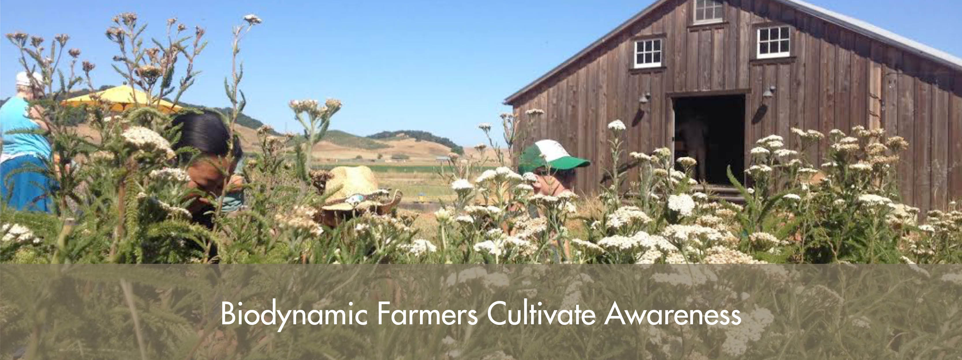 What Is Biodynamics Biodynamic Association