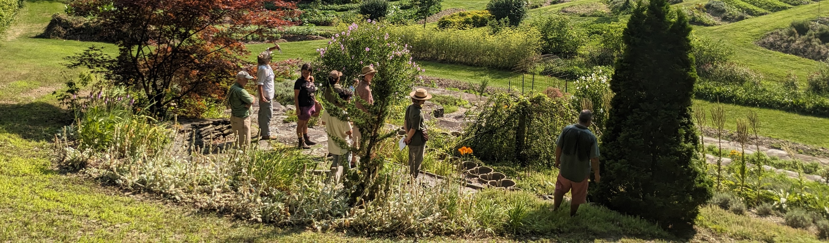 Biodynamic Scholarship Fund | Biodynamic Association