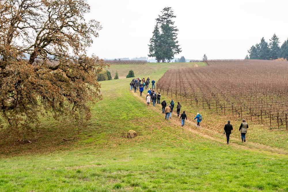 Field day at Soter Vineyards&#039; Mineral Springs Ranch