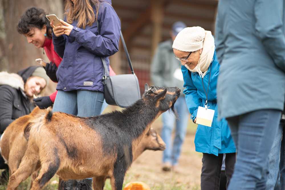 Field day at Soter Vineyards&#039; Mineral Springs Ranch