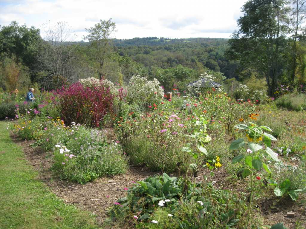 Reflections from the Farm-Based Educators Advanced Retreat