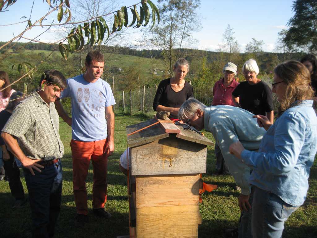 Reflections from the Farm-Based Educators Advanced Retreat