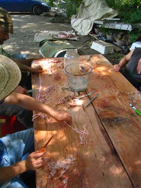 Cleaning small intestines for sausage