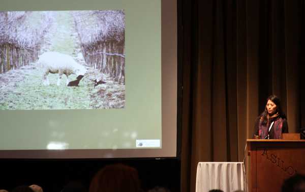 Paula Gaska describes the integration of animals and vegetables at Mendocino Organics