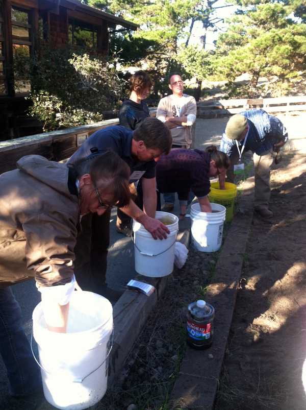 Stirring biodynamic preparations